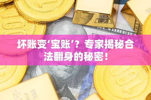 济南坏账变‘宝账’？专家揭秘合法翻身的秘密！