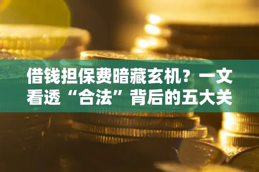 济南借钱担保费暗藏玄机？一文看透“合法”背后的五大关键陷阱