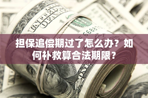 济南担保追偿期过了怎么办？如何补救算合法期限？