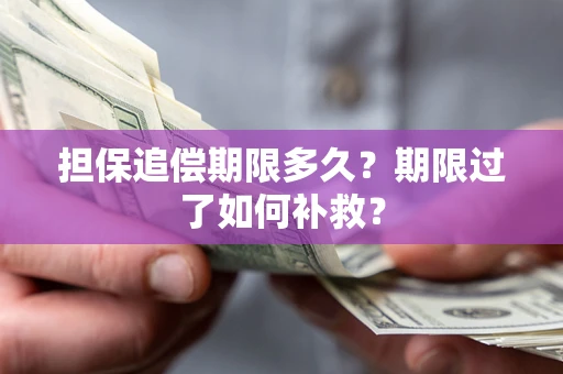 济南担保追偿期限多久？期限过了如何补救？
