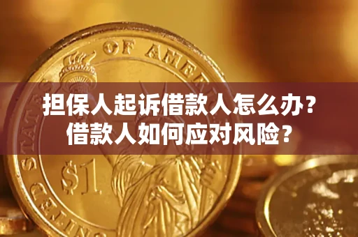 济南担保人起诉借款人怎么办？借款人如何应对风险？