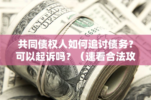济南共同债权人如何追讨债务？可以起诉吗？（速看合法攻略）