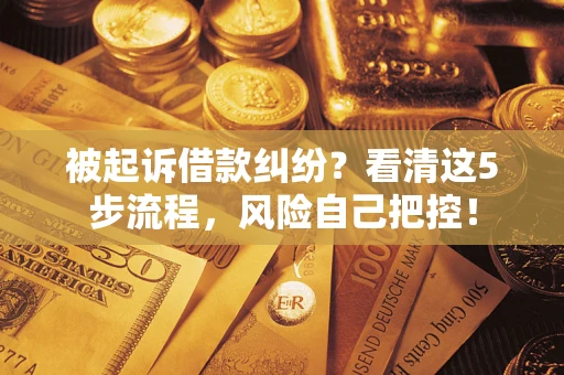 济南被起诉借款纠纷？看清这5步流程，风险自己把控！