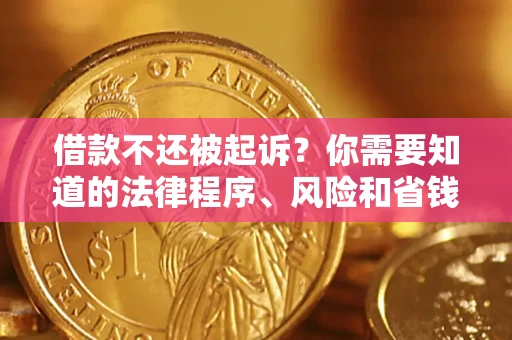 济南借款不还被起诉？你需要知道的法律程序、风险和省钱技巧
